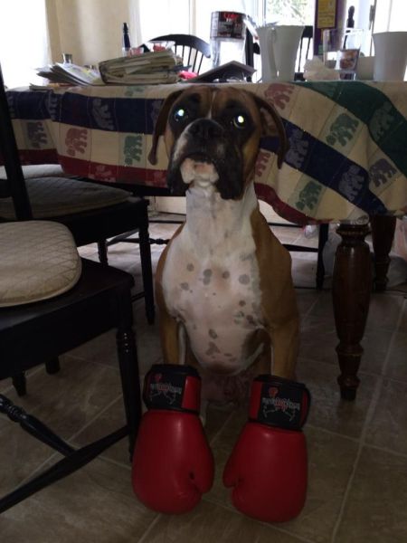 morning picdump 54 pics 21.html - 54 HD Photos | Premium Gallery 2014