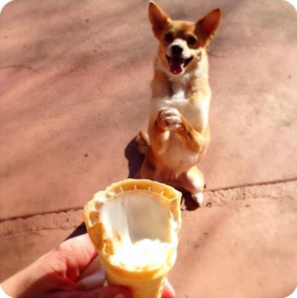 morning picdump 54 pics 21.html - 54 HD Photos | Premium Gallery 2014