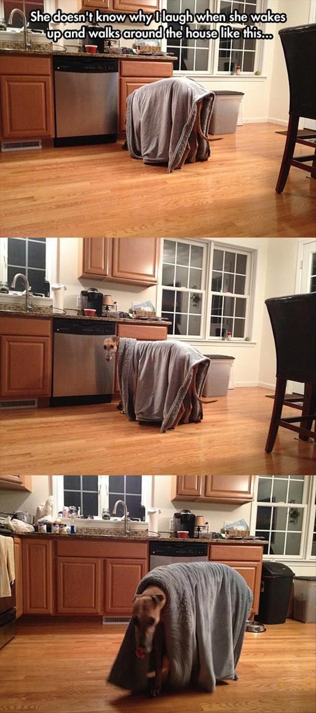 morning picdump 54 pics 21.html - 54 HD Photos | Premium Gallery 2014