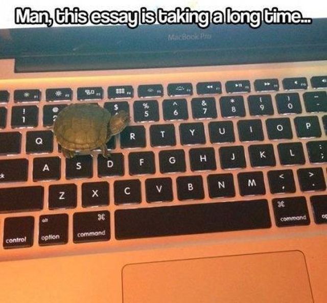 Daily Picdump [WEEKEND EDITION]