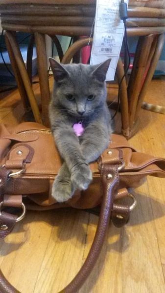 Daily Picdump [WEEKEND EDITION]