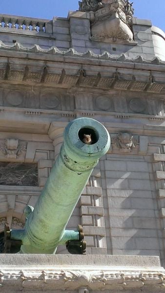 Daily Picdump [WEEKEND EDITION]