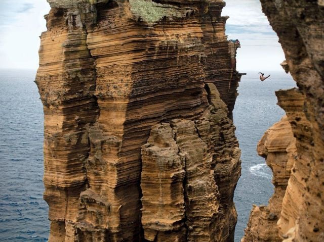 Daily Picdump [WEEKEND EDITION]