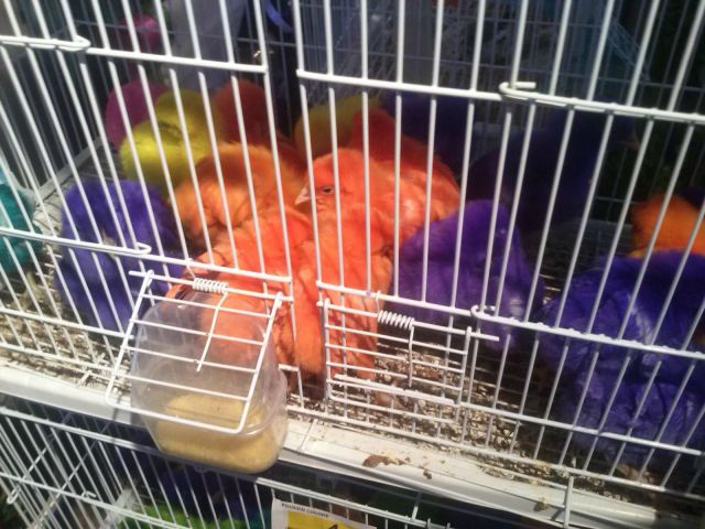 daily picdump weekend edition 101 pics 18.html - 101 HD Photos | Premium Gallery 2014