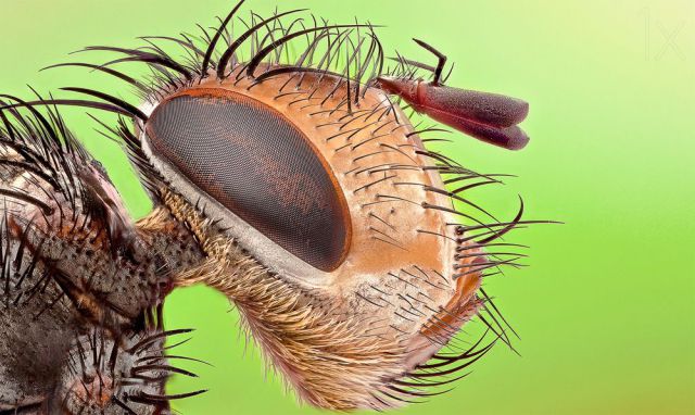 daily picdump weekend edition 101 pics 18.html - 101 HD Photos | Premium Gallery 2014