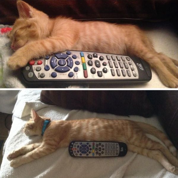 daily picdump weekend edition 101 pics 18.html - 101 HD Photos | Premium Gallery 2014