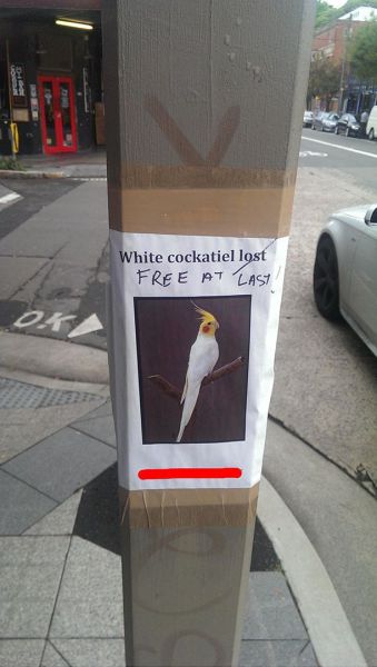 daily picdump weekend edition 101 pics 18.html - 101 HD Photos | Premium Gallery 2014