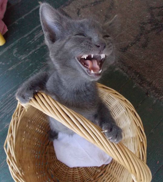 morning picdump 54 pics 9.html - 54 HD Photos | Premium Gallery 2014