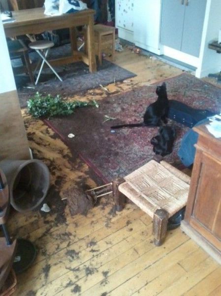 morning picdump 54 pics 9.html - 54 HD Photos | Premium Gallery 2014