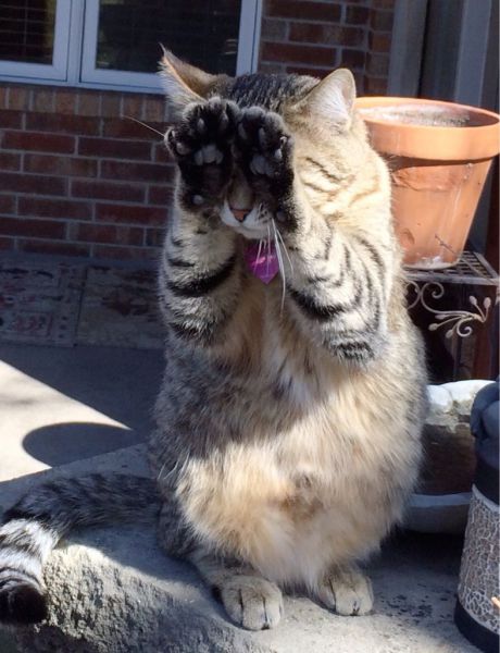 morning picdump 54 pics 9.html - 54 HD Photos | Premium Gallery 2014