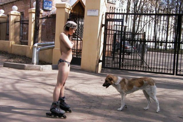 grownup corner 48 pics 9 gifs 17.html - 48 HD GIF | Premium Gallery 2014