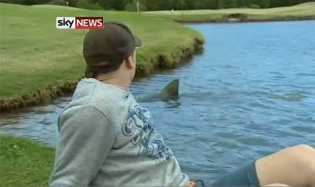There Is Nothing Normal about Australia