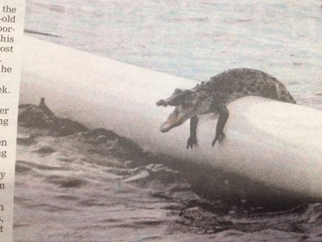 There Is Nothing Normal about Australia