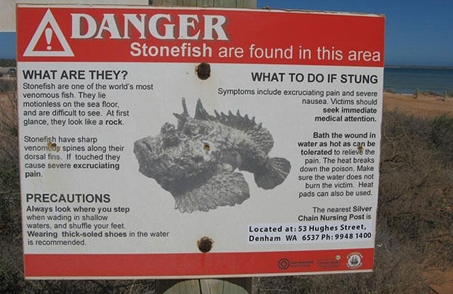 There Is Nothing Normal about Australia