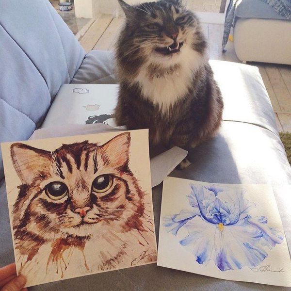 morning picdump 55 pics 20.html - 55 HD Photos | Premium Gallery 2014