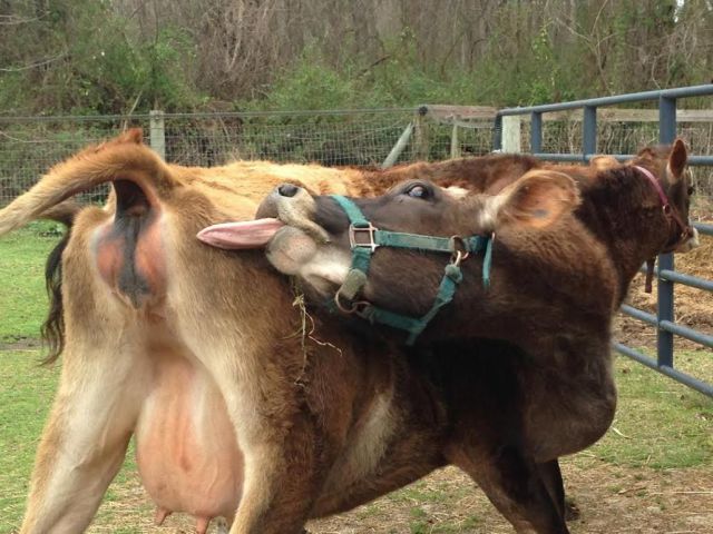 morning picdump 55 pics 20.html - 55 HD Photos | Premium Gallery 2014