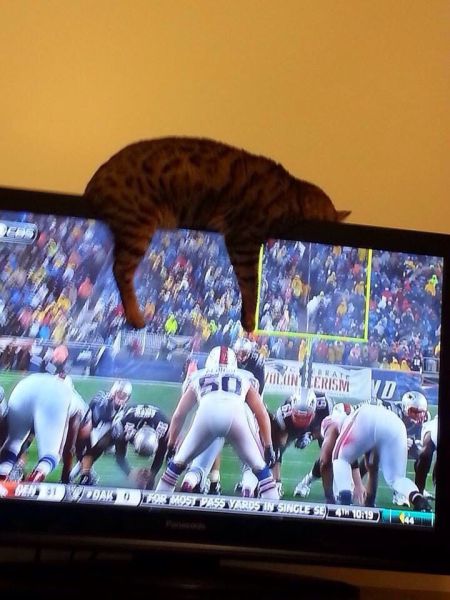 morning picdump 55 pics 20.html - 55 HD Photos | Premium Gallery 2014