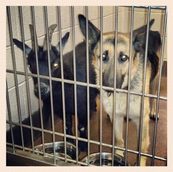 morning picdump 55 pics 20.html - 55 HD Photos | Premium Gallery 2014