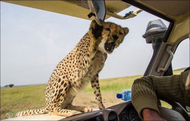 morning picdump 55 pics 20.html - 55 HD Photos | Premium Gallery 2014