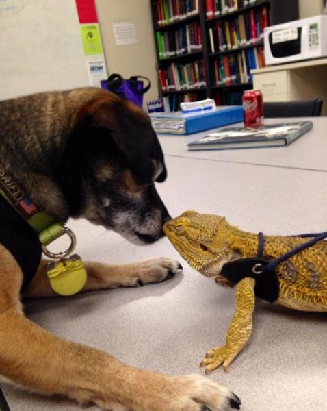 morning picdump 54 pics 1.html - 54 HD Photos | Premium Gallery 2014