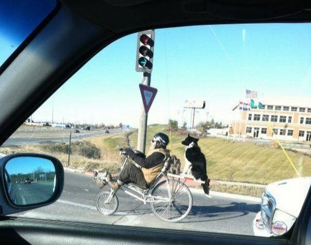 morning picdump 54 pics 1.html - 54 HD Photos | Premium Gallery 2014