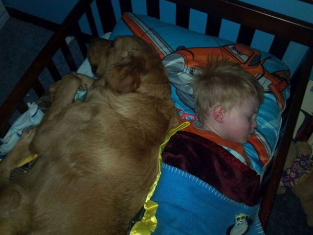 morning picdump 54 pics 1.html - 54 HD Photos | Premium Gallery 2014