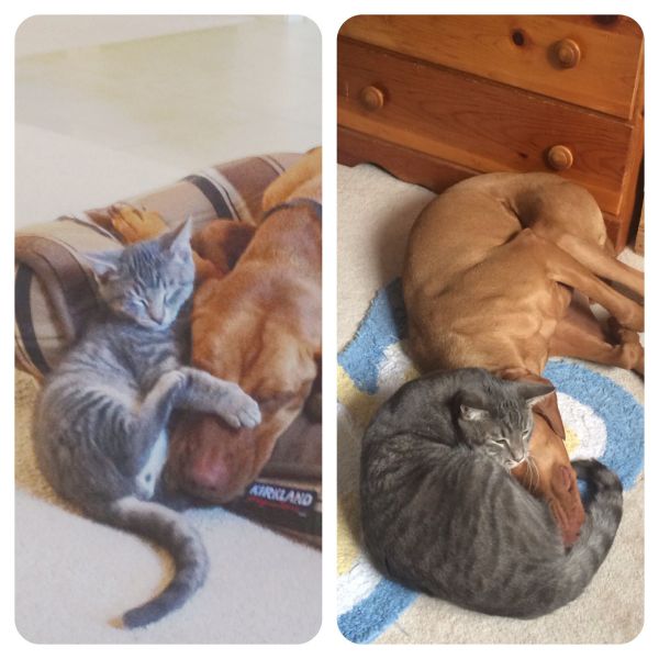 morning picdump 54 pics 1.html - 54 HD Photos | Premium Gallery 2014