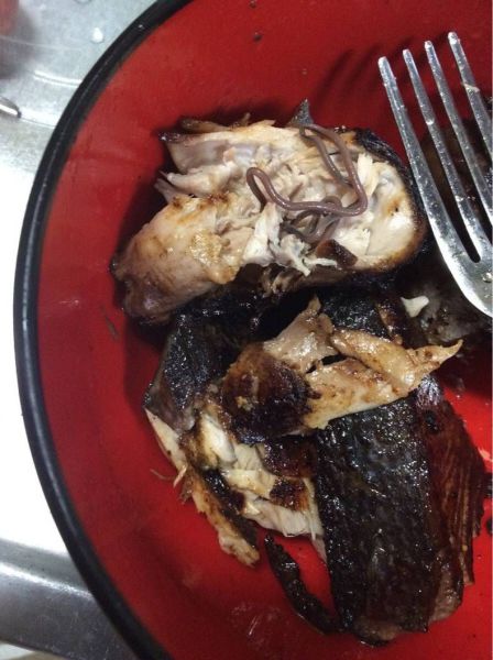 morning picdump 55 pics 5.html - 55 HD Photos | Premium Gallery 2014