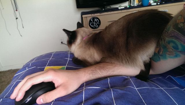 morning picdump 55 pics 5.html - 55 HD Photos | Premium Gallery 2014