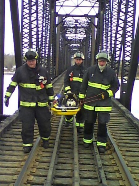 morning picdump 55 pics 5.html - 55 HD Photos | Premium Gallery 2014