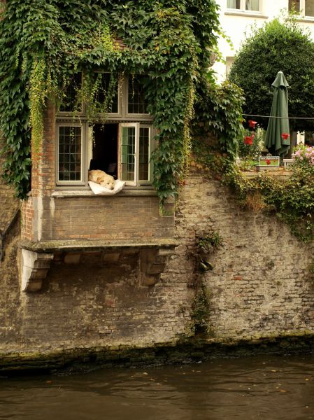 morning picdump 58 pics 3.html - 58 HD Photos | Premium Gallery 2014