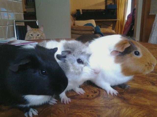 morning picdump 51 pics 2.html - 51 HD Photos | Premium Gallery 2014