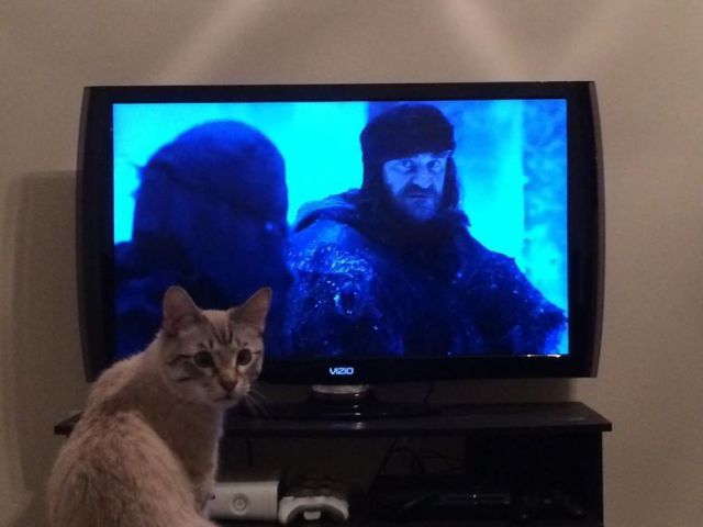 morning picdump 51 pics 2.html - 51 HD Photos | Premium Gallery 2014