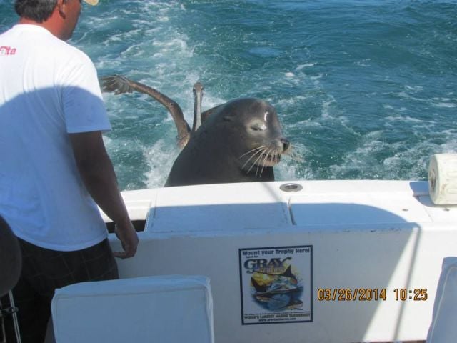 morning picdump 51 pics 2.html - 51 HD Photos | Premium Gallery 2014