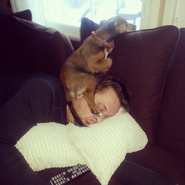 morning picdump 51 pics 2.html - 51 HD Photos | Premium Gallery 2014