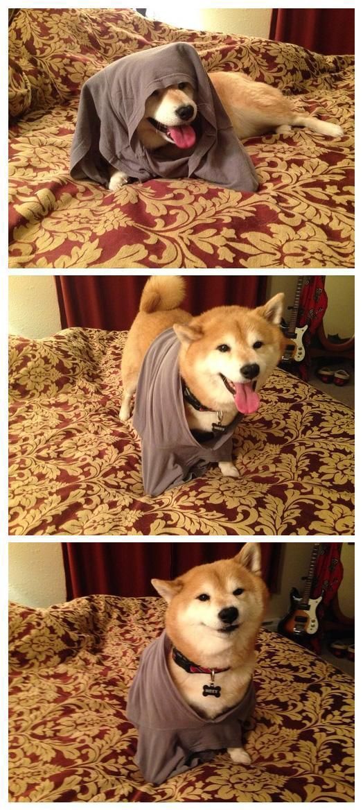 morning picdump 51 pics 2.html - 51 HD Photos | Premium Gallery 2014