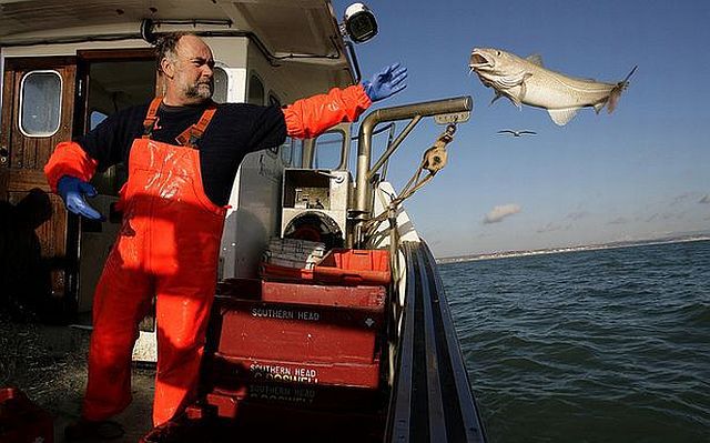 daily picdump 98 pics 4.html - 98 HD Photos | Premium Gallery 2014