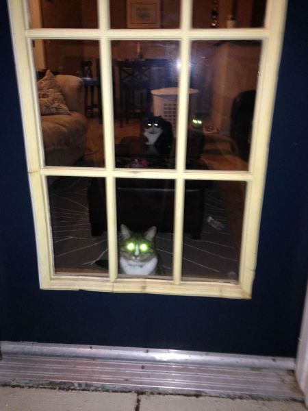 daily picdump 98 pics 4.html - 98 HD Photos | Premium Gallery 2014