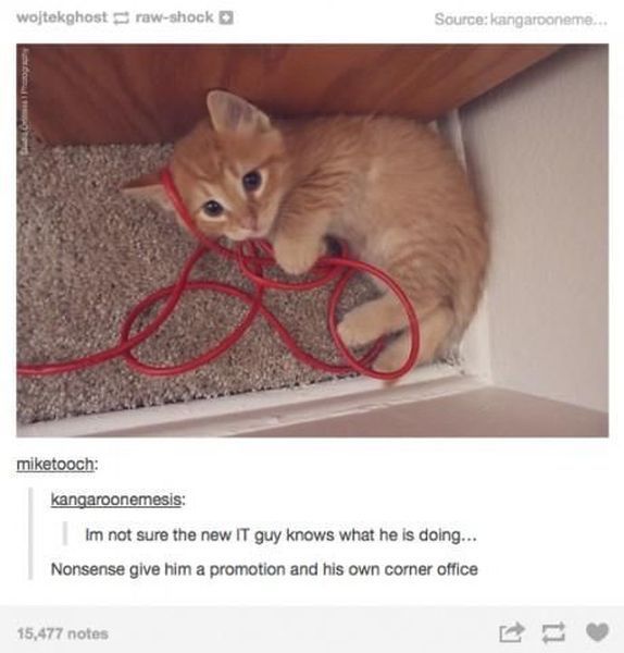 daily picdump 98 pics 4.html - 98 HD Photos | Premium Gallery 2014