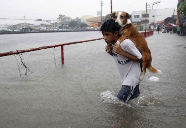 hardhitting photos that capture incredible moments 59 pics 49.html - 59 HD Photos | Premium Gallery 2014