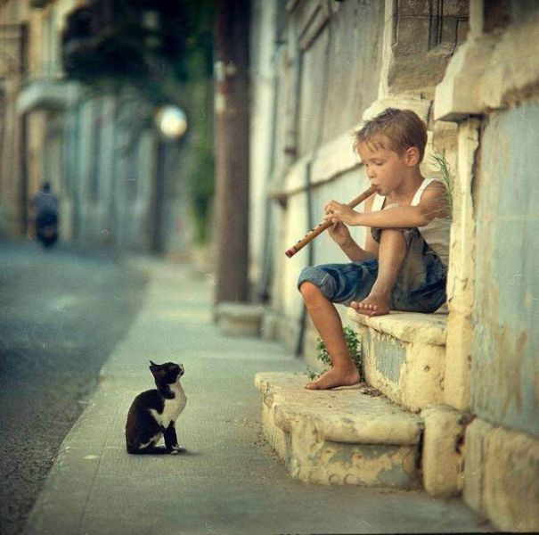 hardhitting photos that capture incredible moments 59 pics 49.html - 59 HD Photos | Premium Gallery 2014