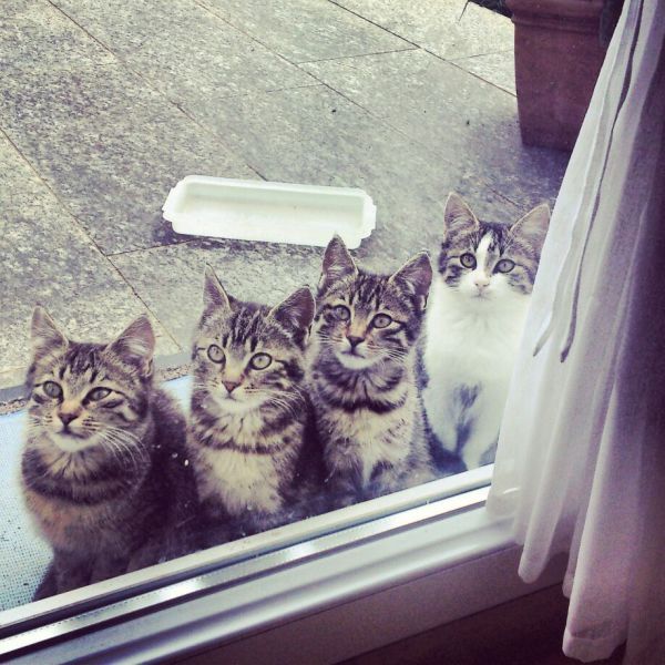 morning picdump 50 pics 4.html - 50 HD Photos | Premium Gallery 2014