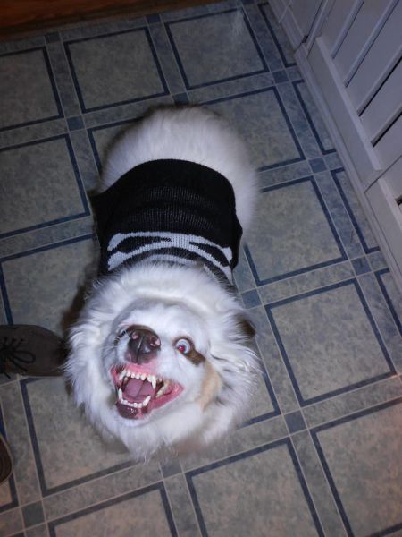 morning picdump 50 pics 4.html - 50 HD Photos | Premium Gallery 2014