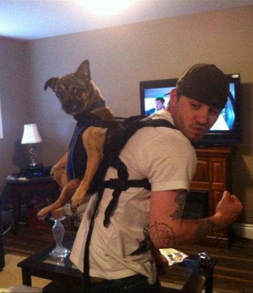 daily picdump 102 pics 5.html - 102 HD Photos | Premium Gallery 2014