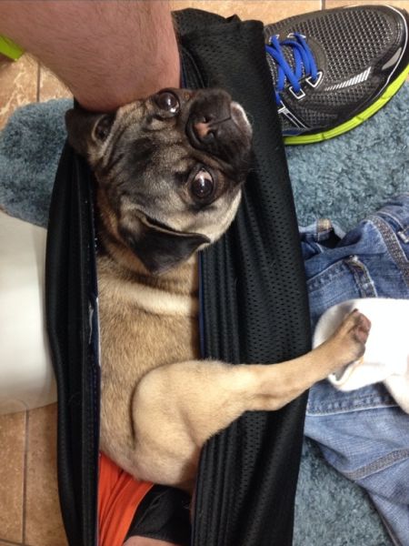 daily picdump 102 pics 5.html - 102 HD Photos | Premium Gallery 2014