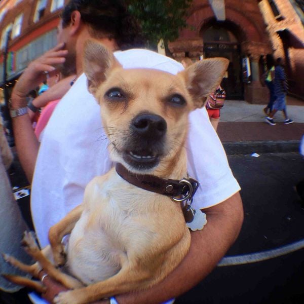 daily picdump 102 pics 5.html - 102 HD Photos | Premium Gallery 2014