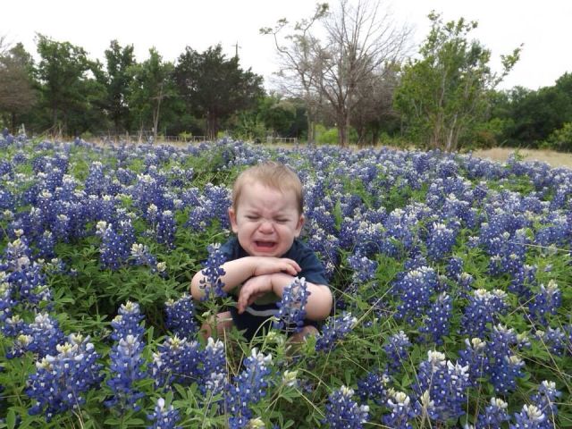 daily picdump 102 pics 5.html - 102 HD Photos | Premium Gallery 2014