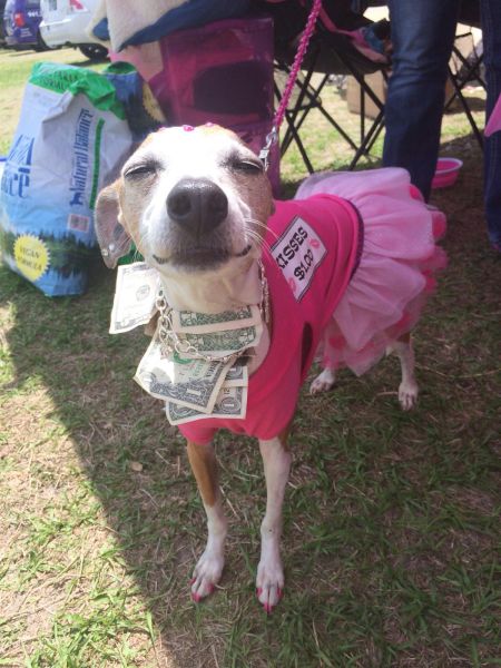 daily picdump 102 pics 5.html - 102 HD Photos | Premium Gallery 2014