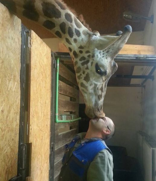 daily picdump 102 pics 5.html - 102 HD Photos | Premium Gallery 2014