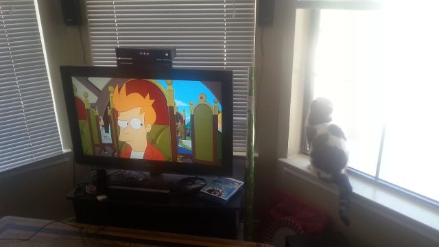 morning picdump 57 pics 5.html - 57 HD Photos | Premium Gallery 2014